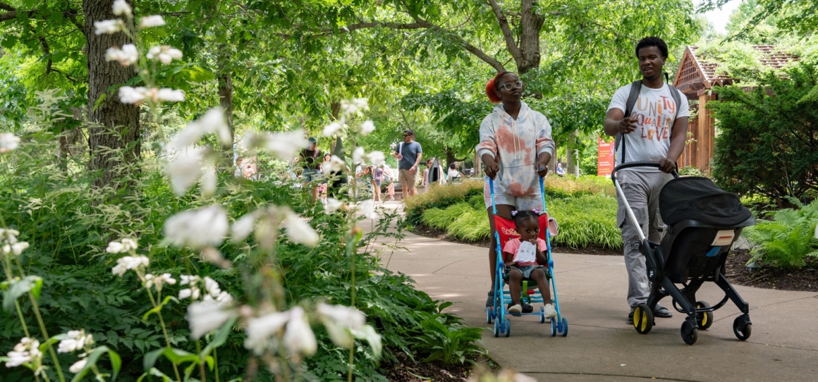 The Morton Arboretum