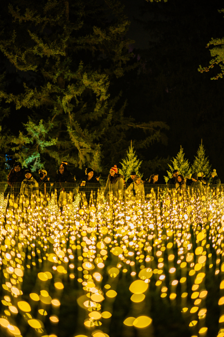 The Morton Arboretum