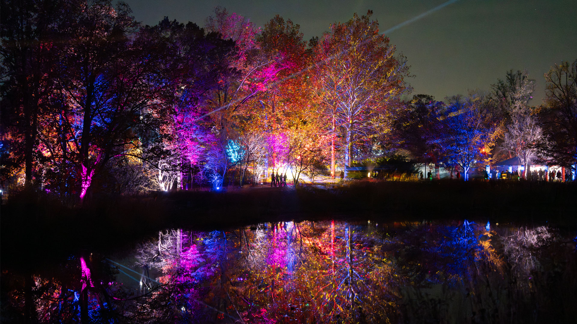 Colorful lights appear in tall trees and reflect across the lake