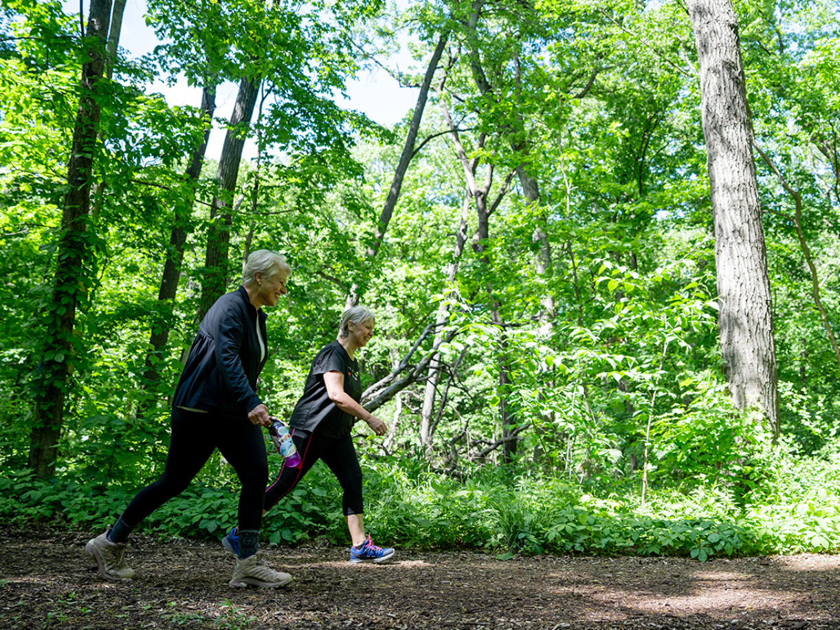 The Morton Arboretum