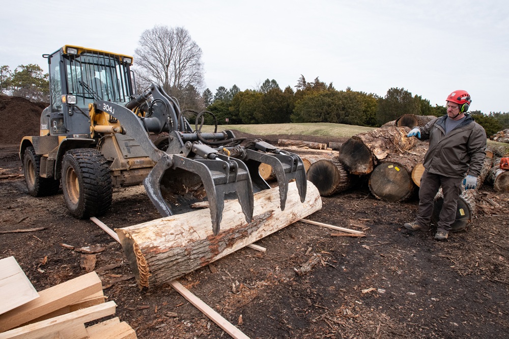 A worker uses a machine with pincers to lift a section of white oak tree trunk,