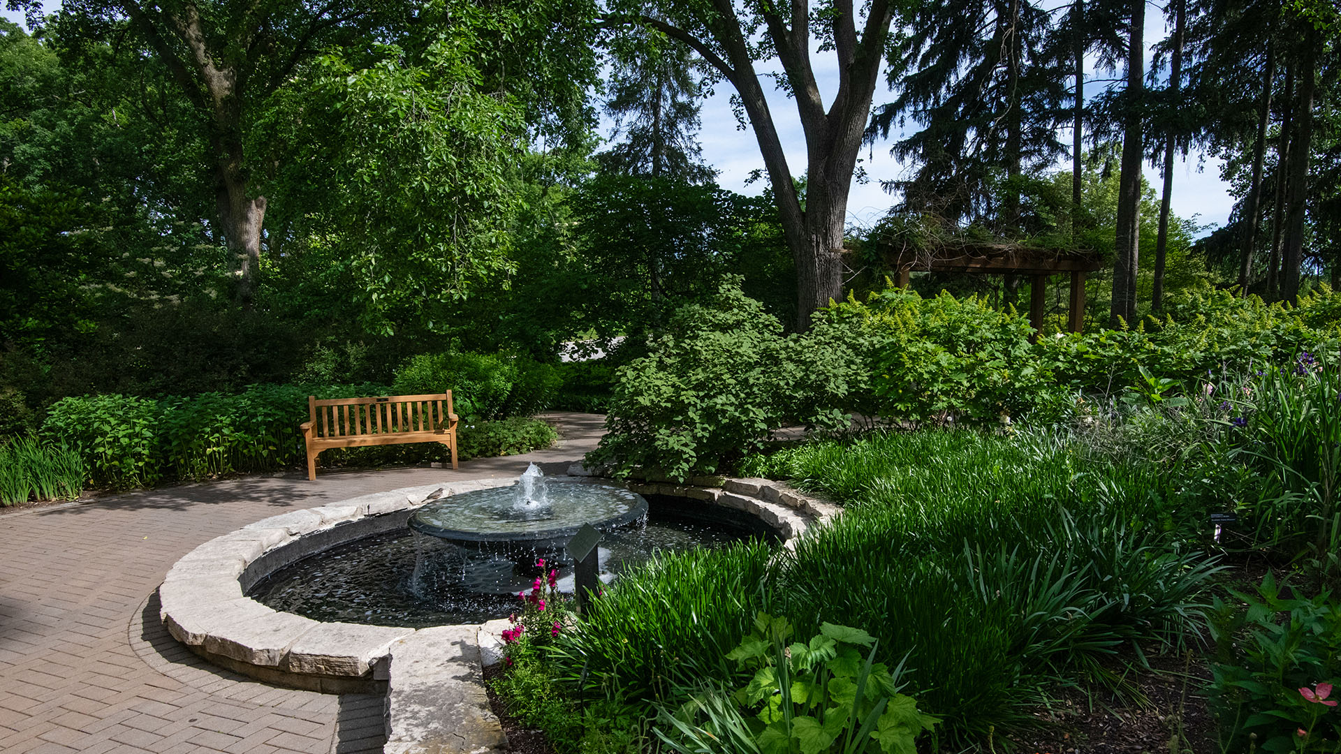 The Morton Arboretum