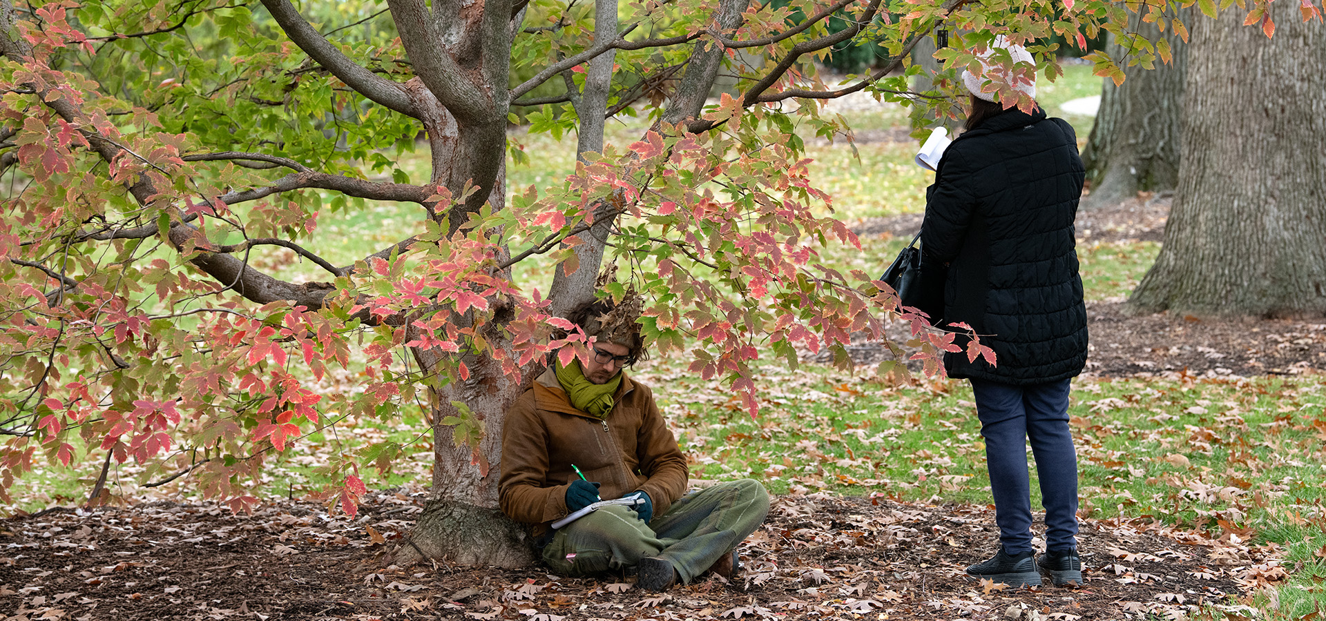 The Morton Arboretum