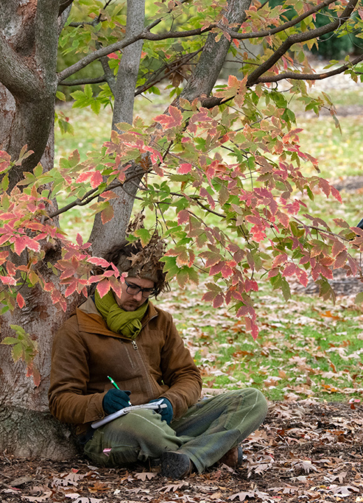 The Morton Arboretum