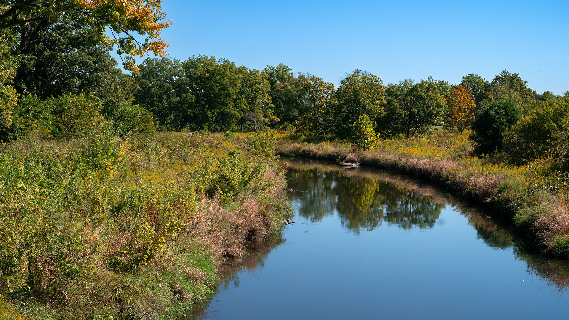 The Morton Arboretum