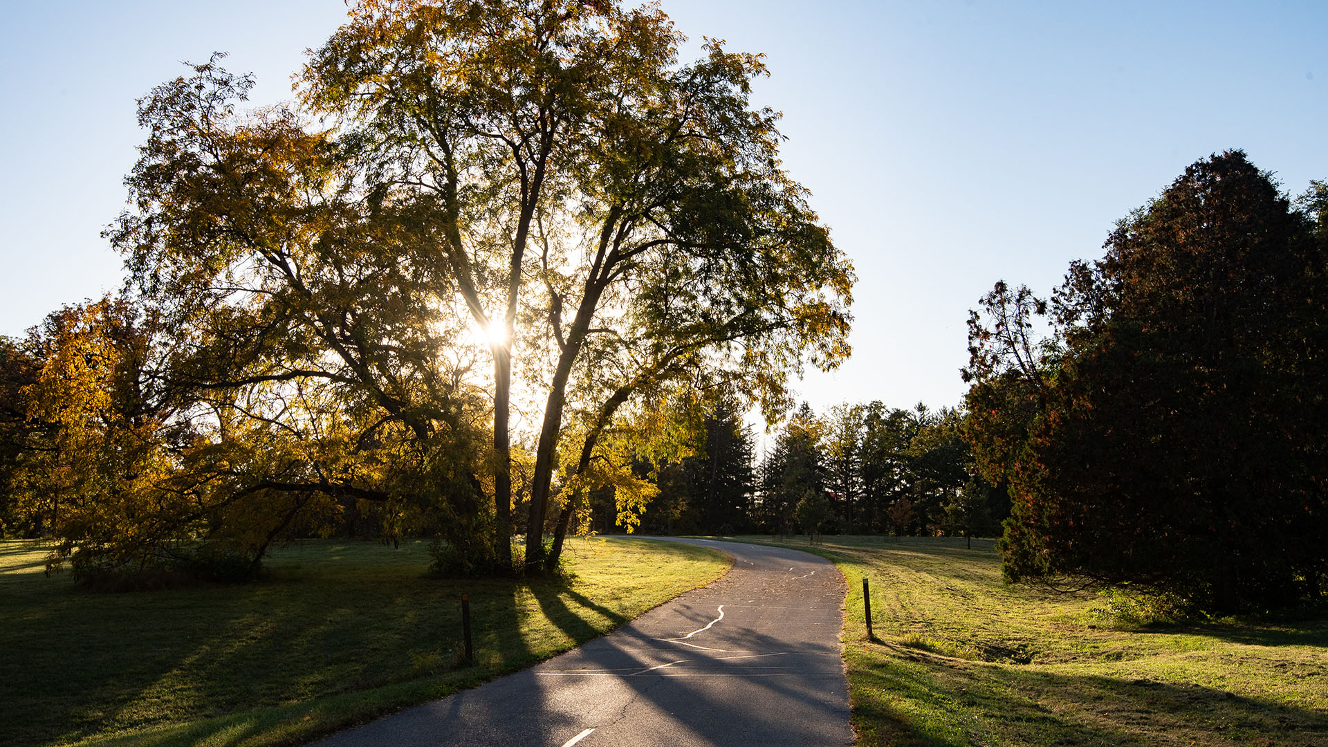 The Morton Arboretum