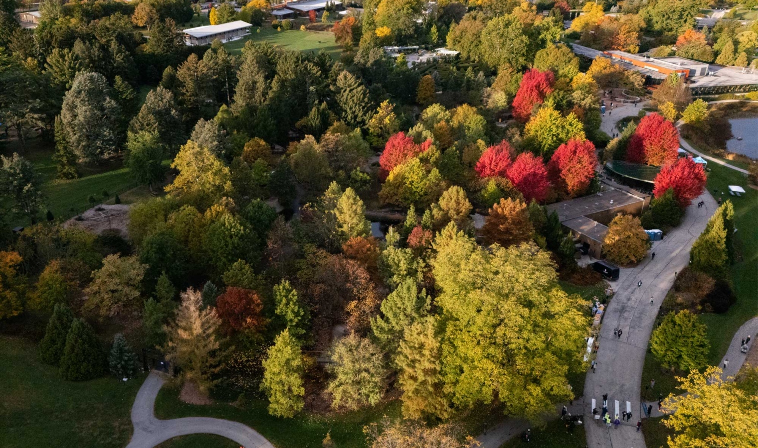An aerial view of early fall color