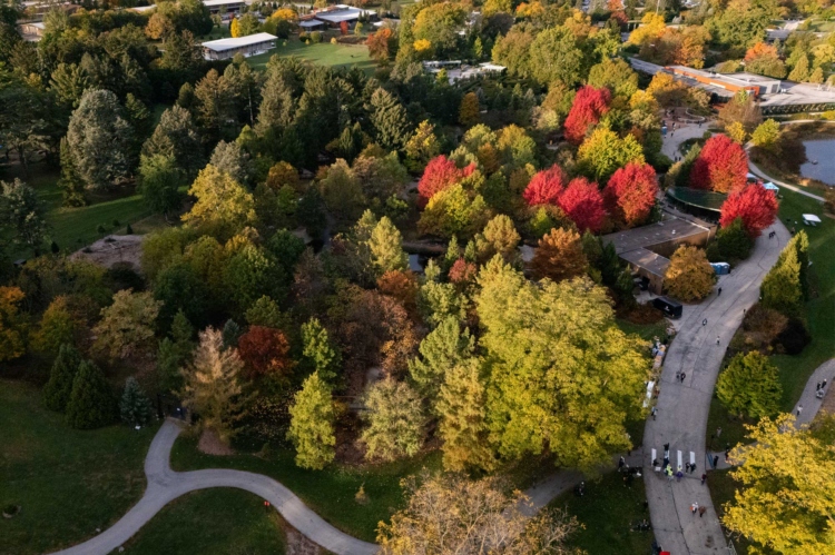 An aerial view of early fall color