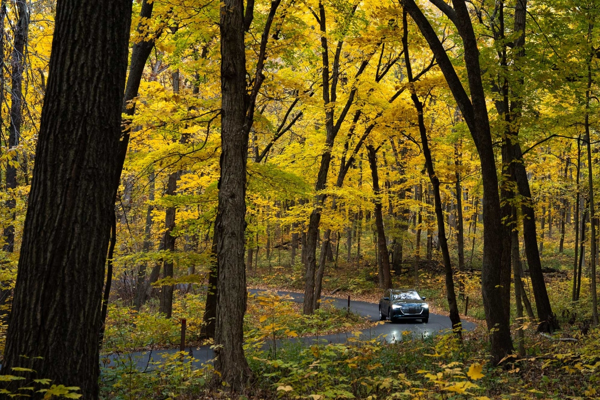 A car drives on a road cast in yellow from the fall trees above