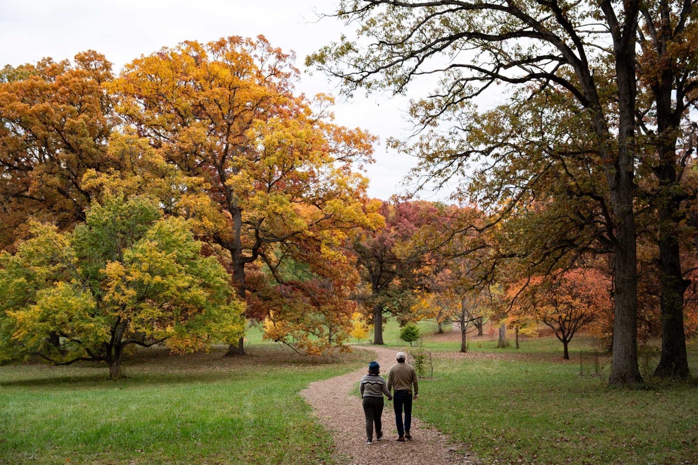 A couple hold hands as they walk on a trail through brightly colored fall trees