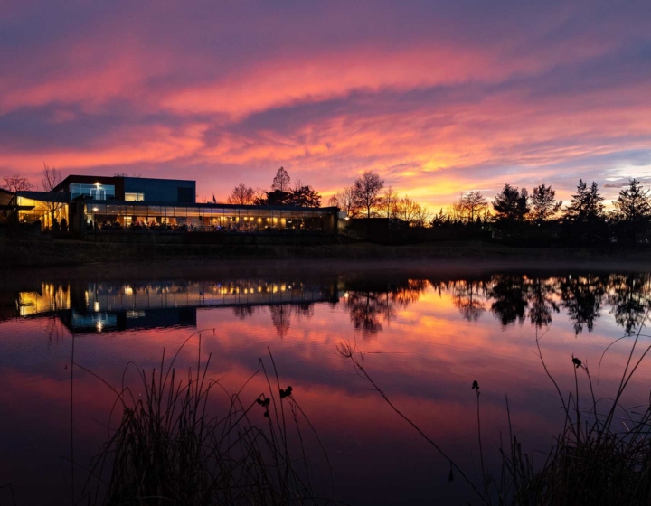 A beautiful sunset of pinks and purples over meadow lake
