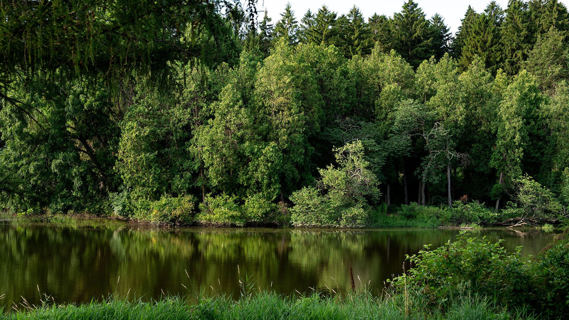 The Morton Arboretum