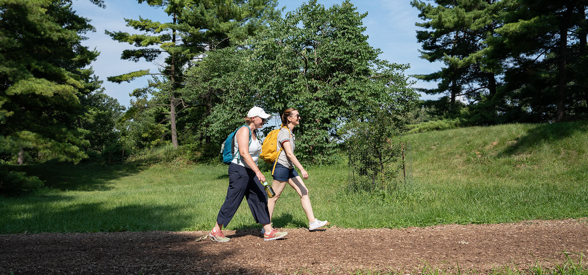 The Morton Arboretum
