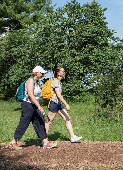 The Morton Arboretum