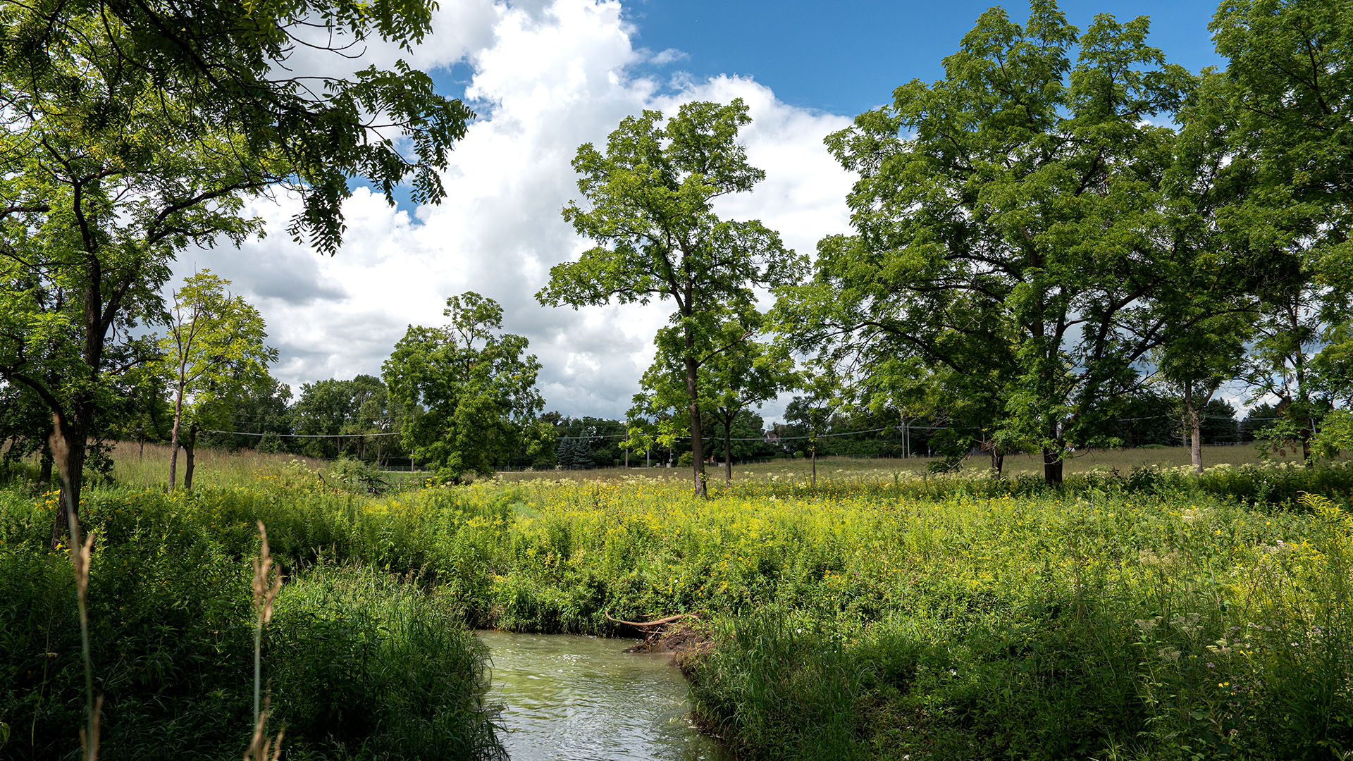 The Morton Arboretum