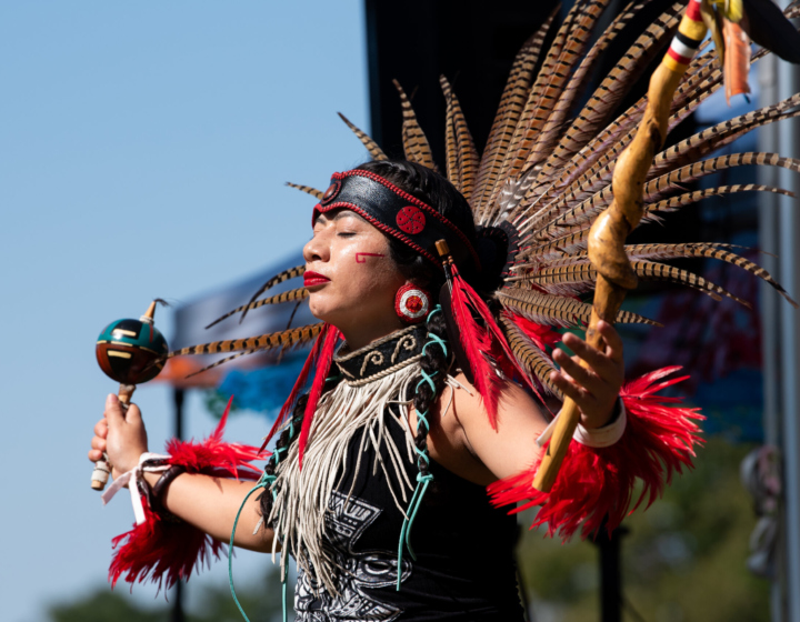 The Morton Arboretum