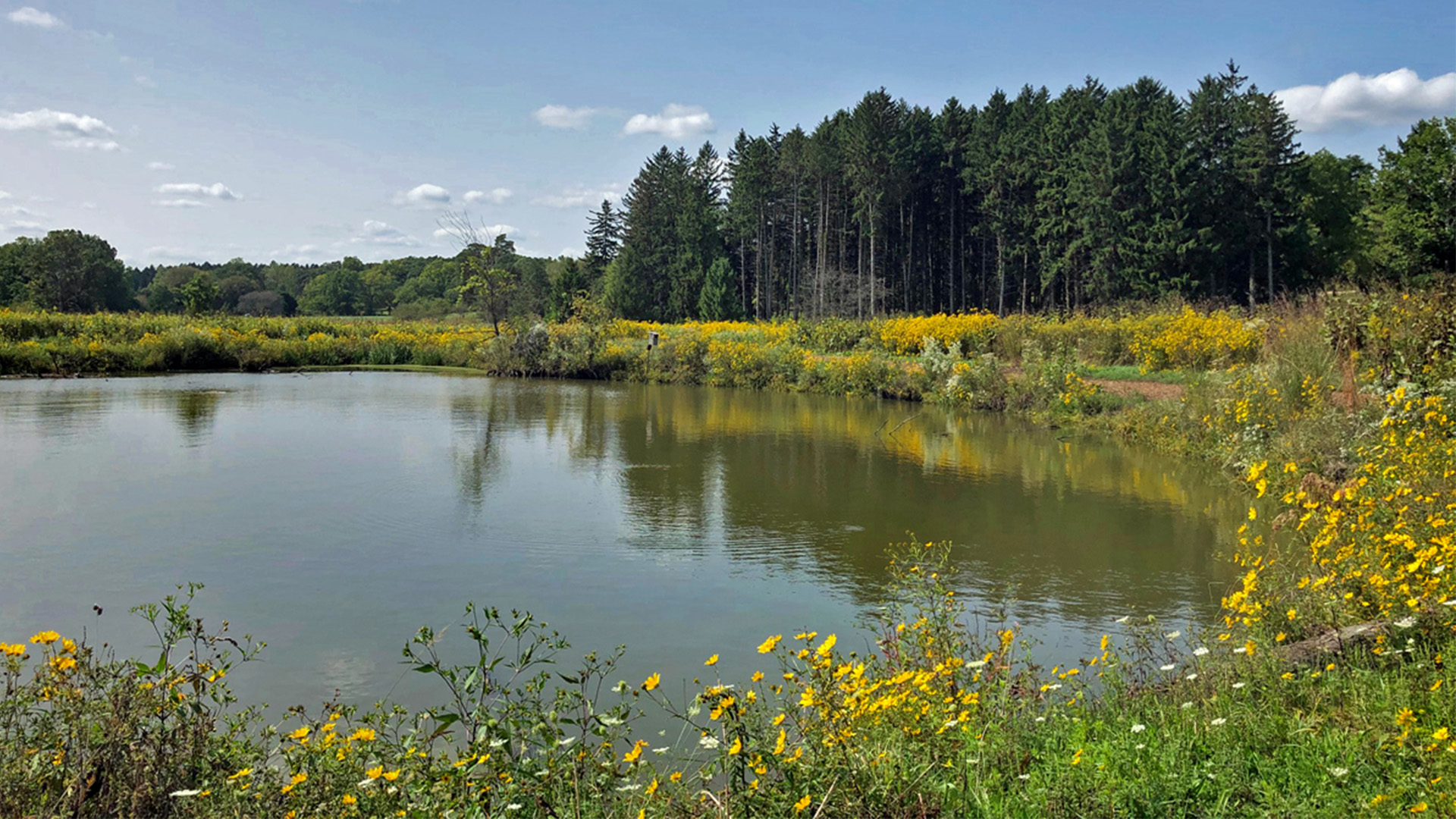 The Morton Arboretum