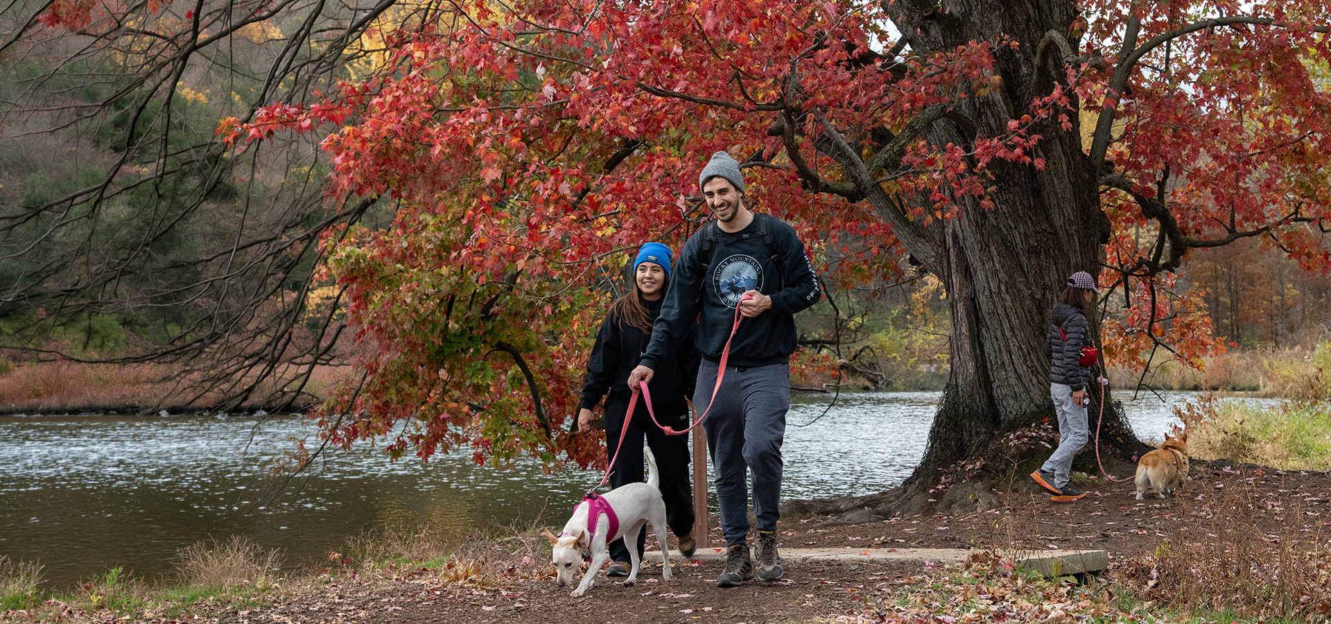 The Morton Arboretum