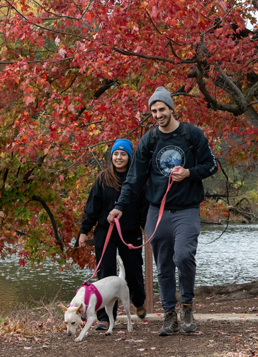 The Morton Arboretum