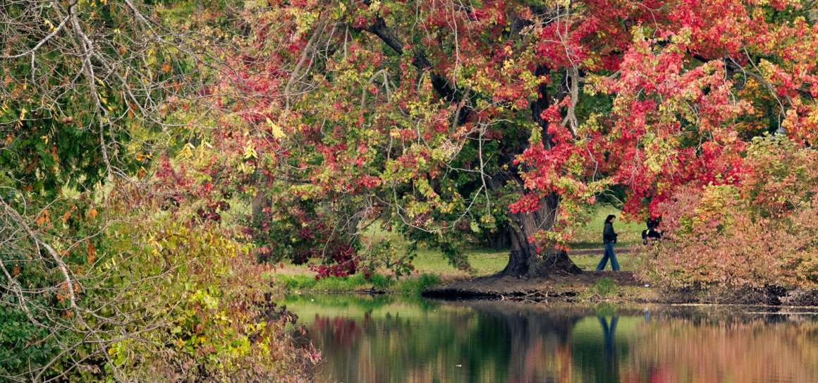 Hiking around Lake Marmo with flames of red from the changing fall trees