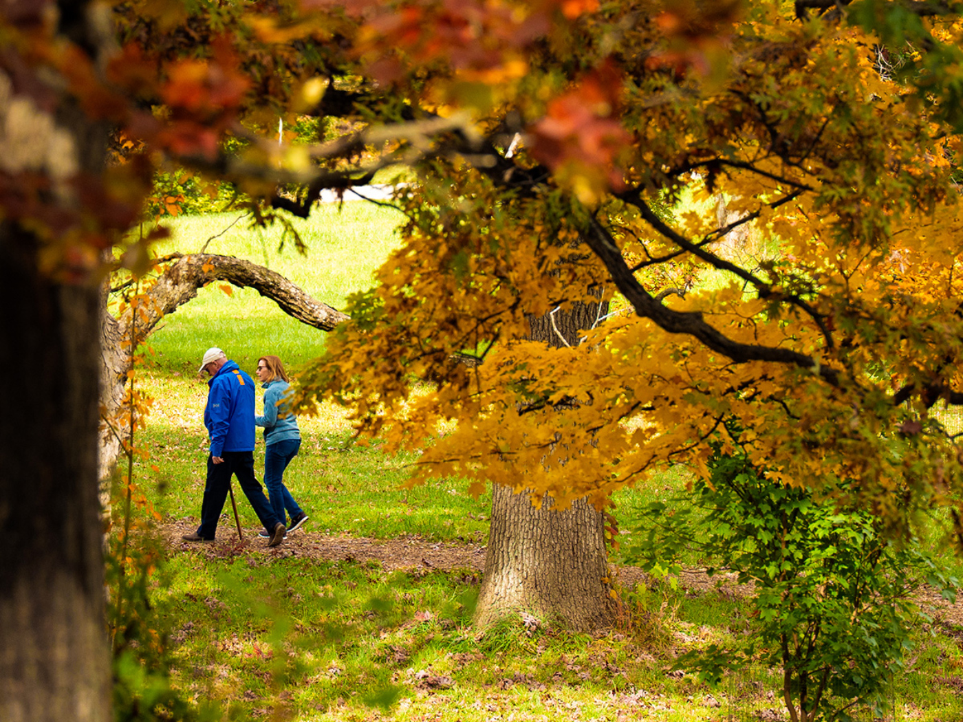 The Morton Arboretum