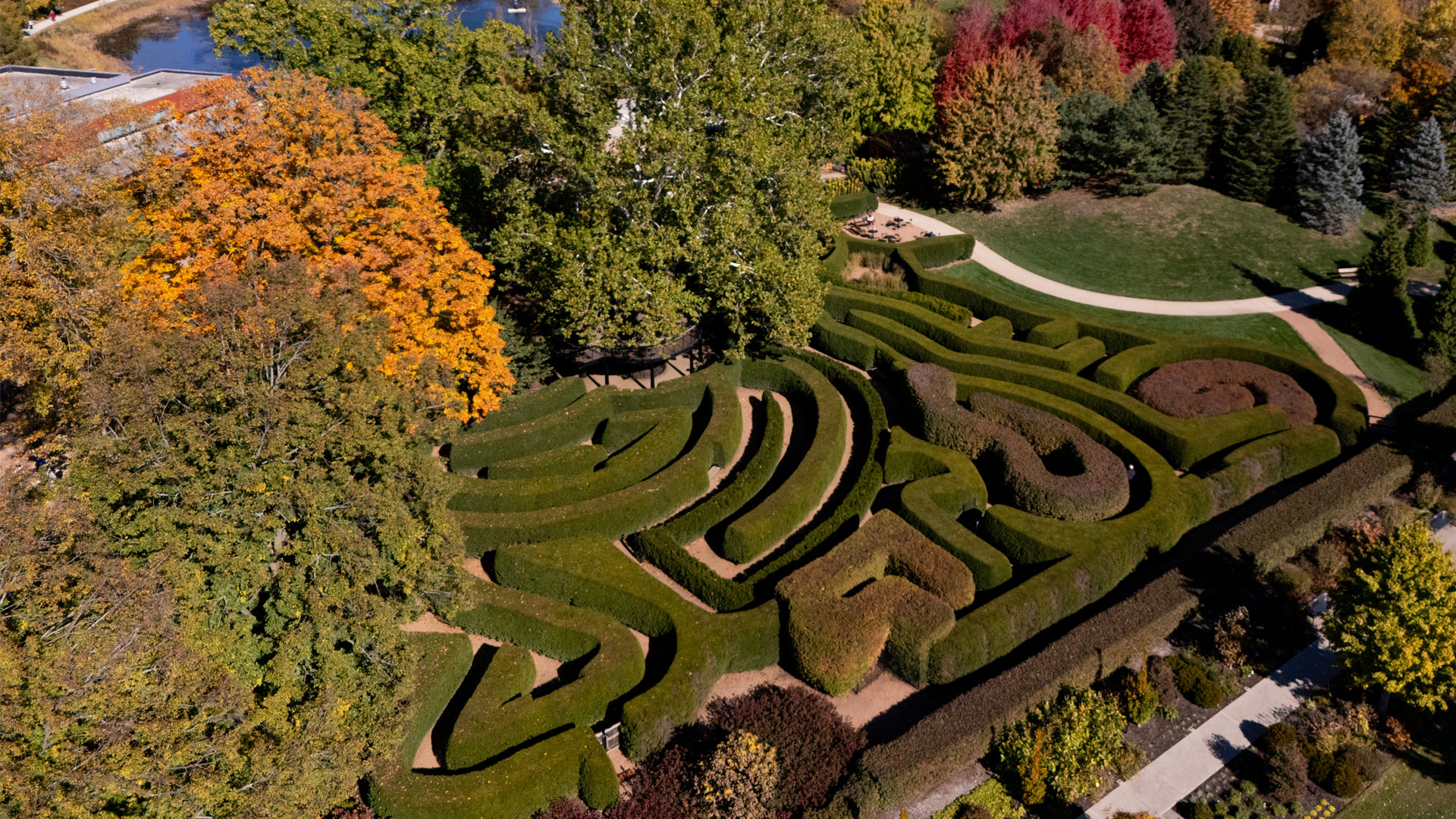 Aerial view of the Maze Garden with fall trees all around