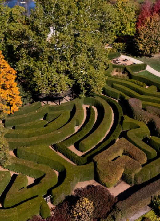 Aerial view of the Maze Garden with fall trees all around