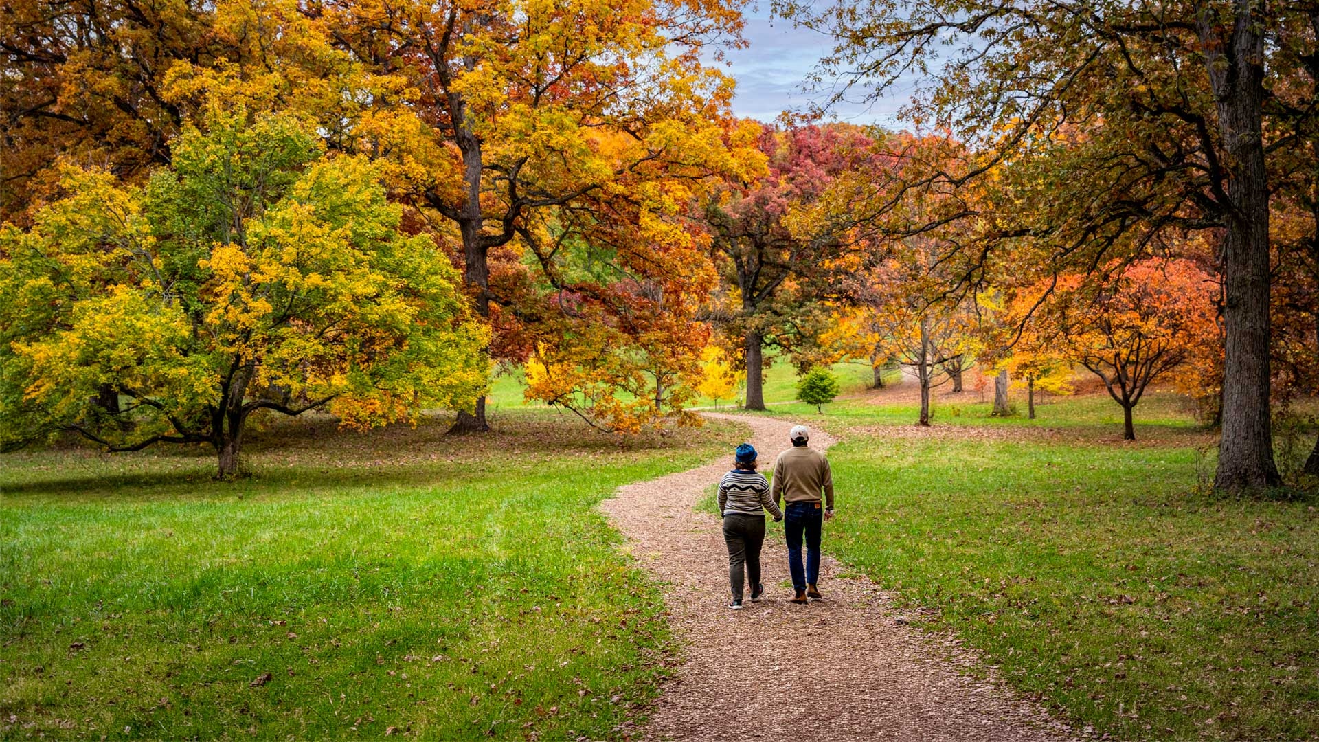 A couple walk on a trail to explore a sea of color in the canopy of trees