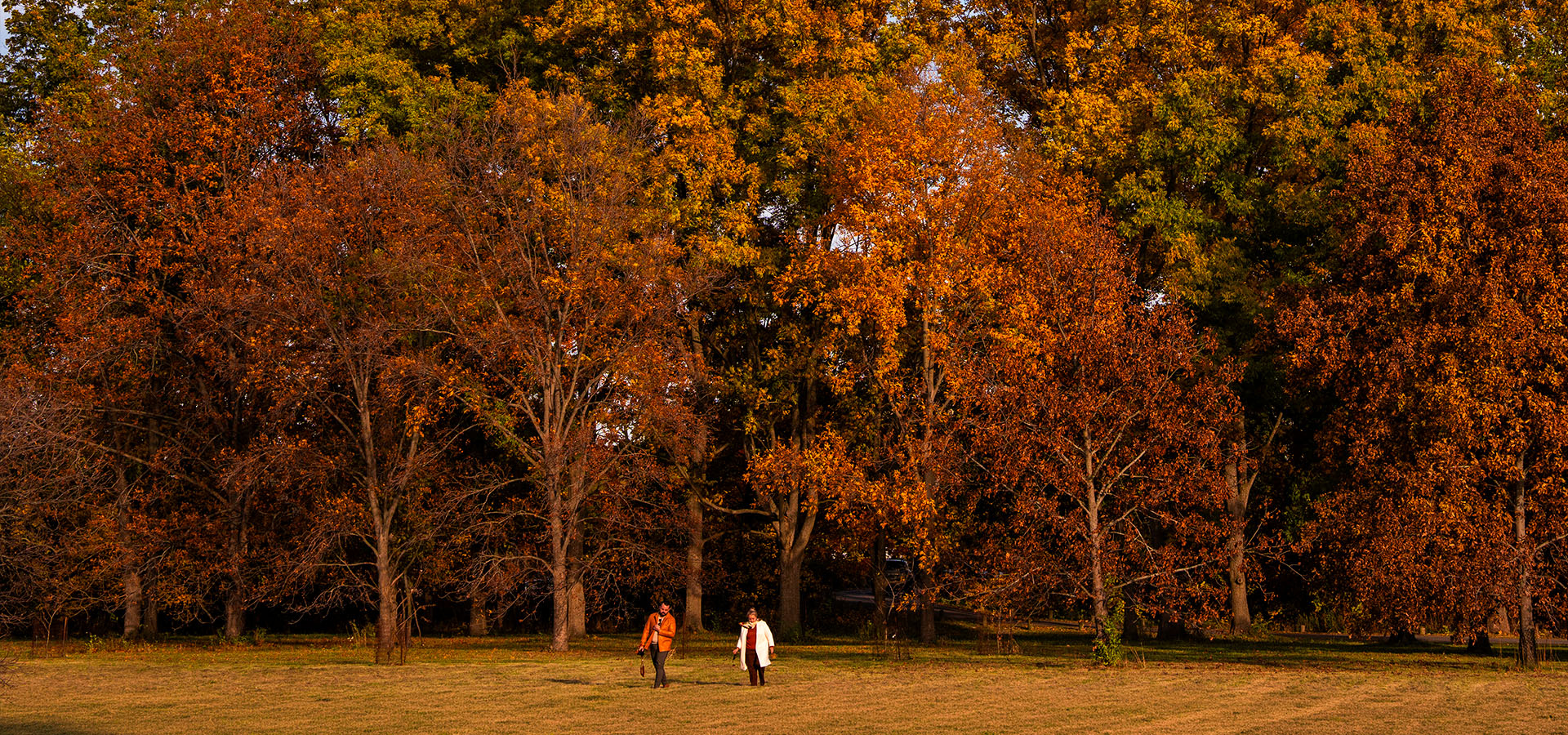 The Morton Arboretum