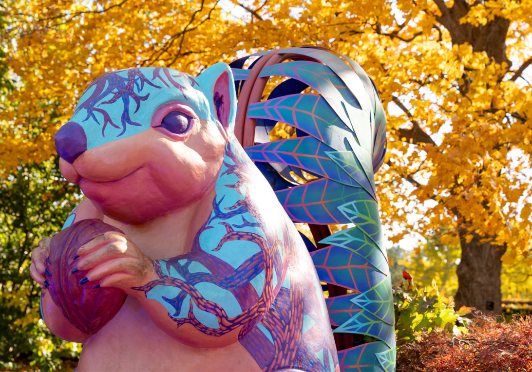 Vivid Creatures Squirrel Scamp. near yellow trees in fall