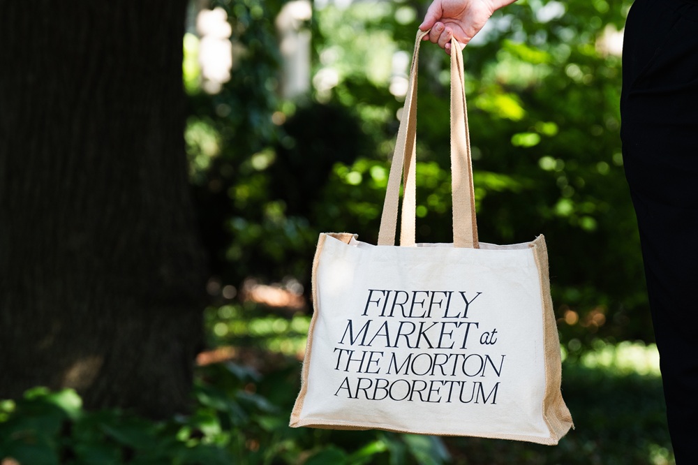 The Morton Arboretum