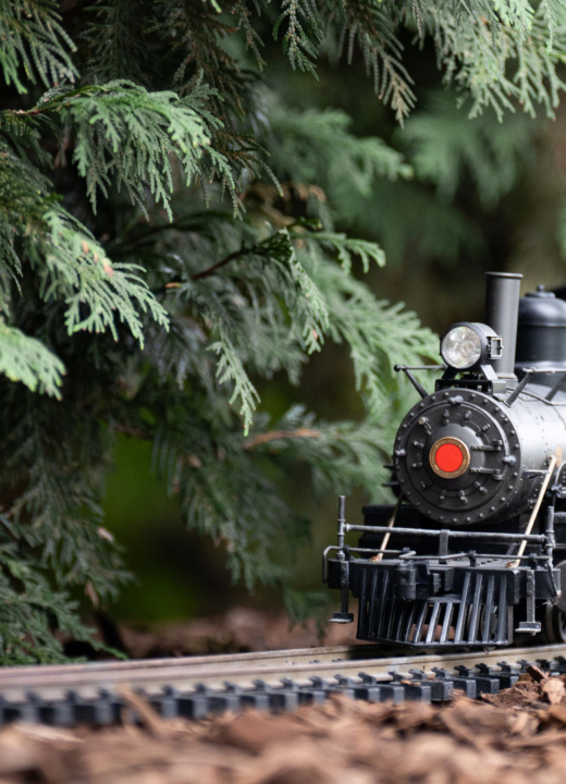 Model train