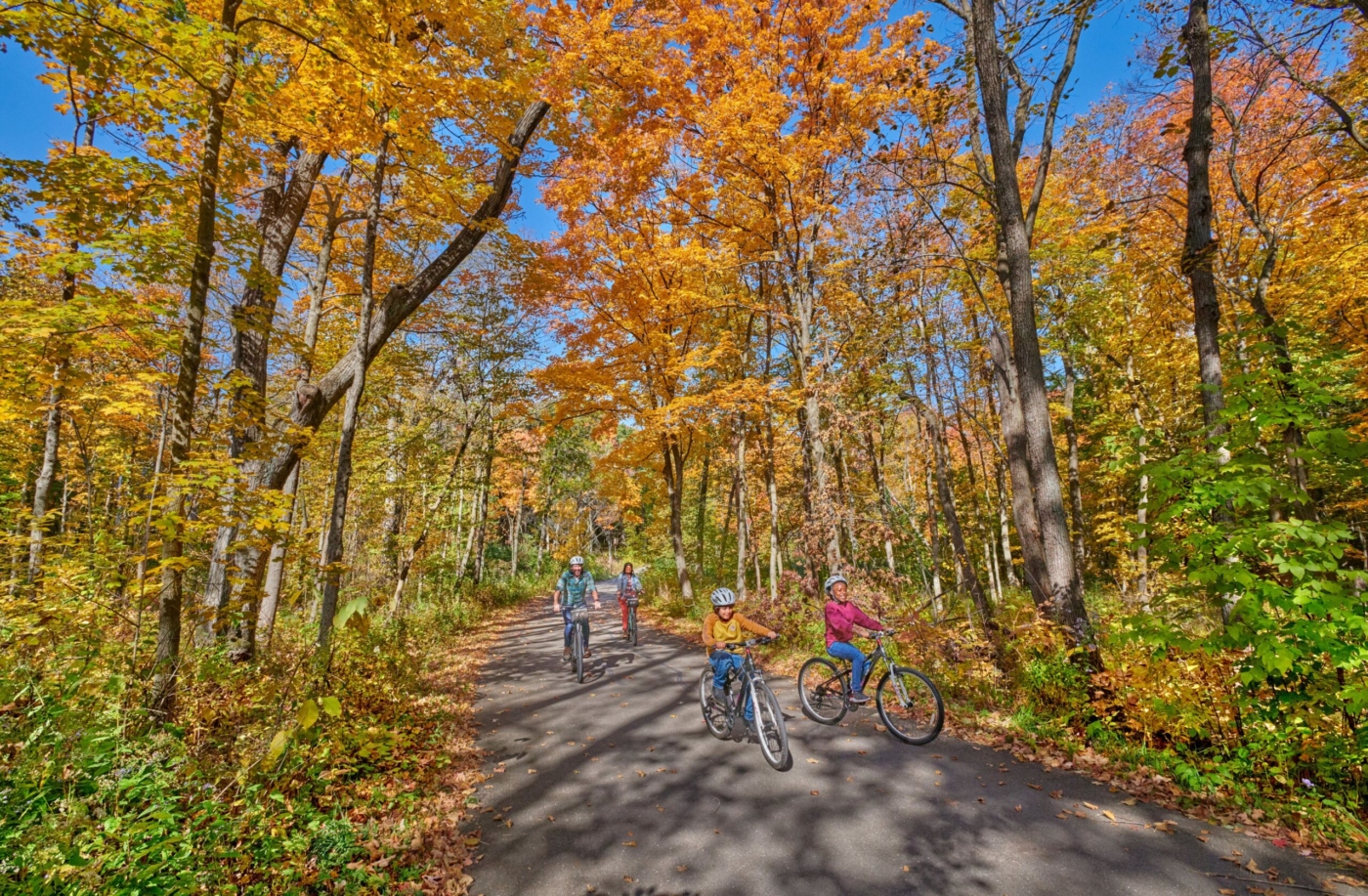 The Morton Arboretum