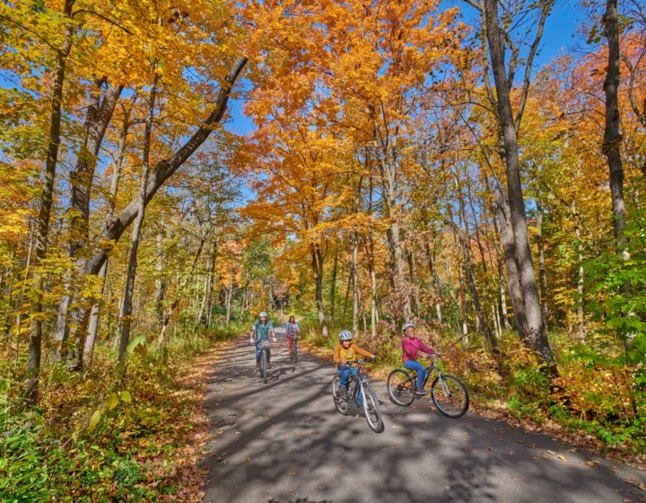 The Morton Arboretum