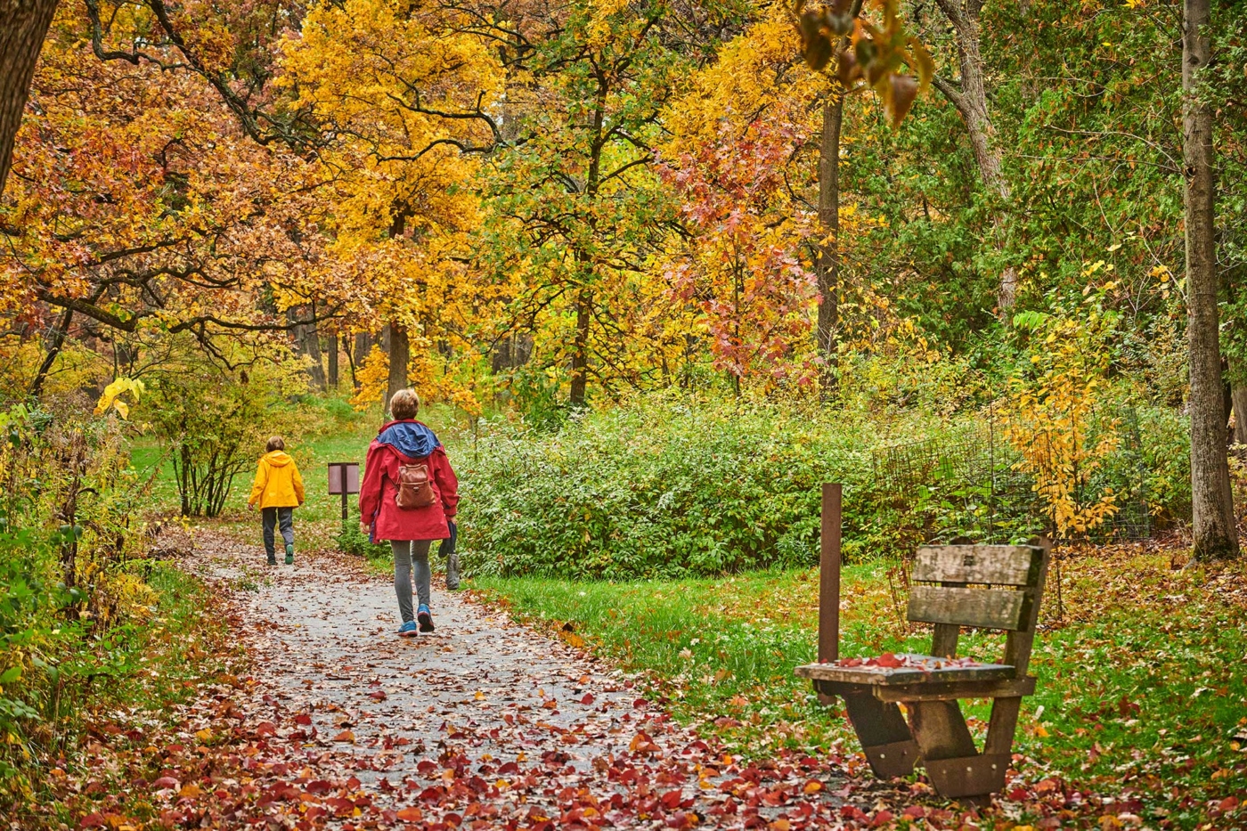 The Morton Arboretum