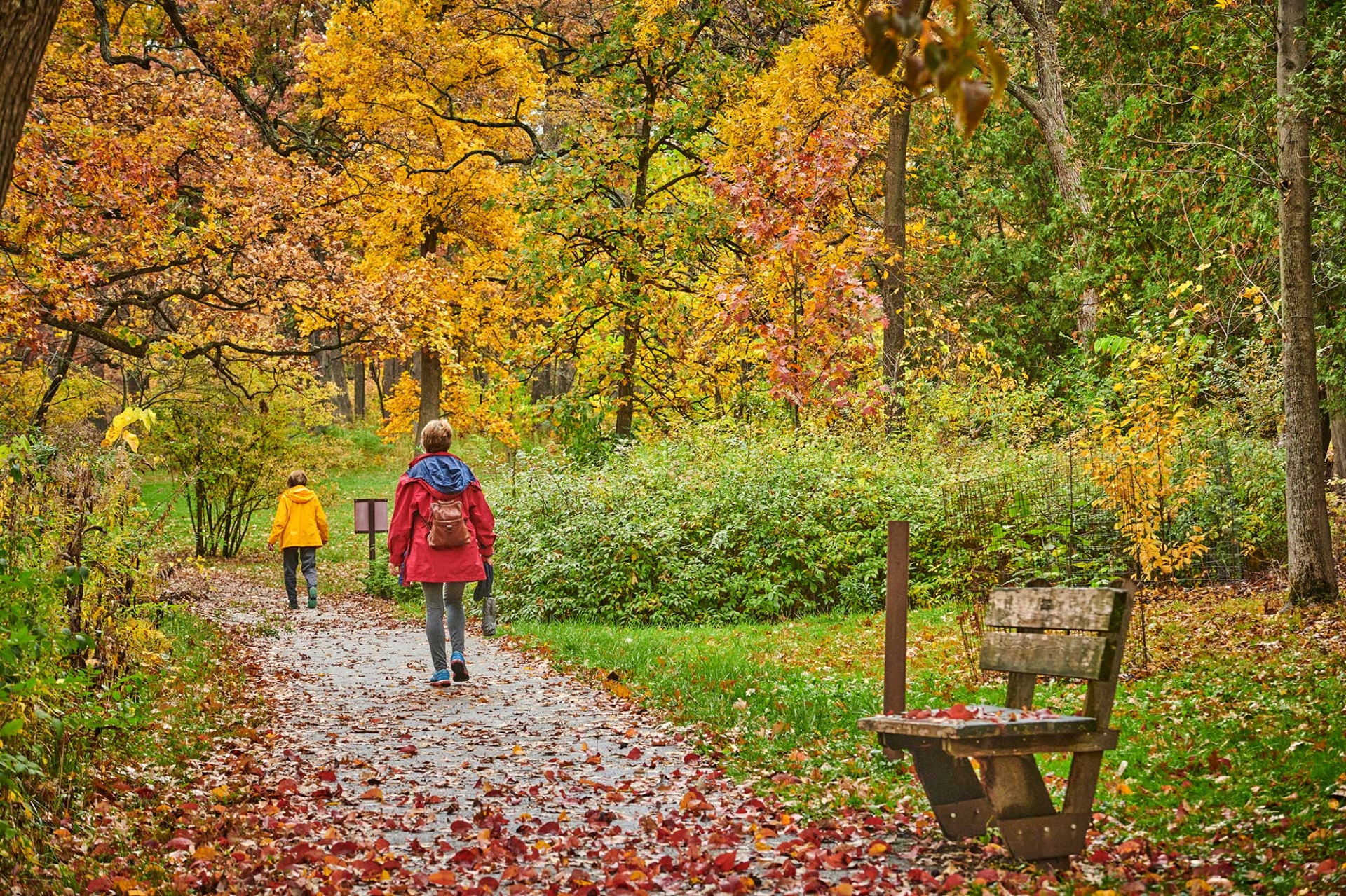 The Morton Arboretum