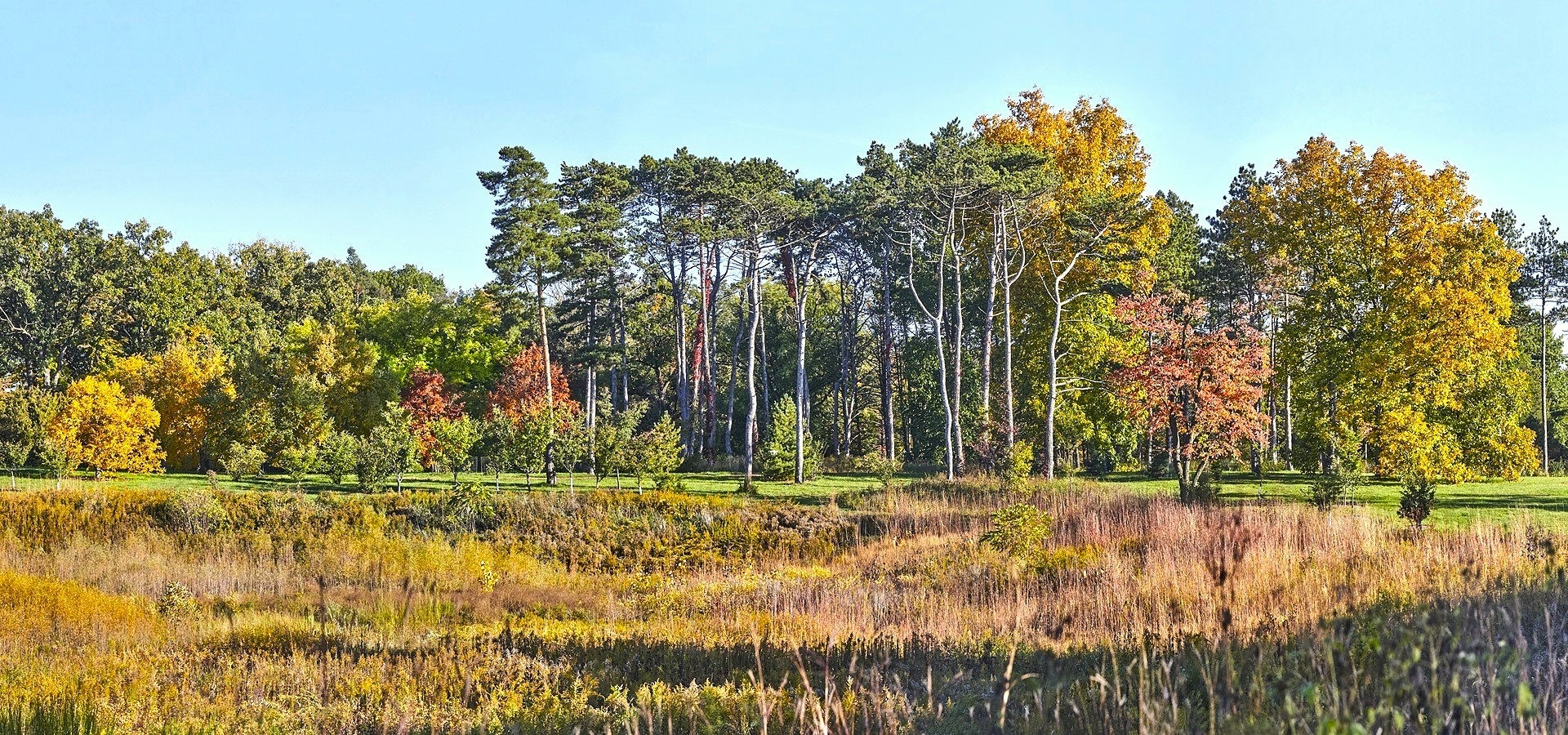 The Morton Arboretum