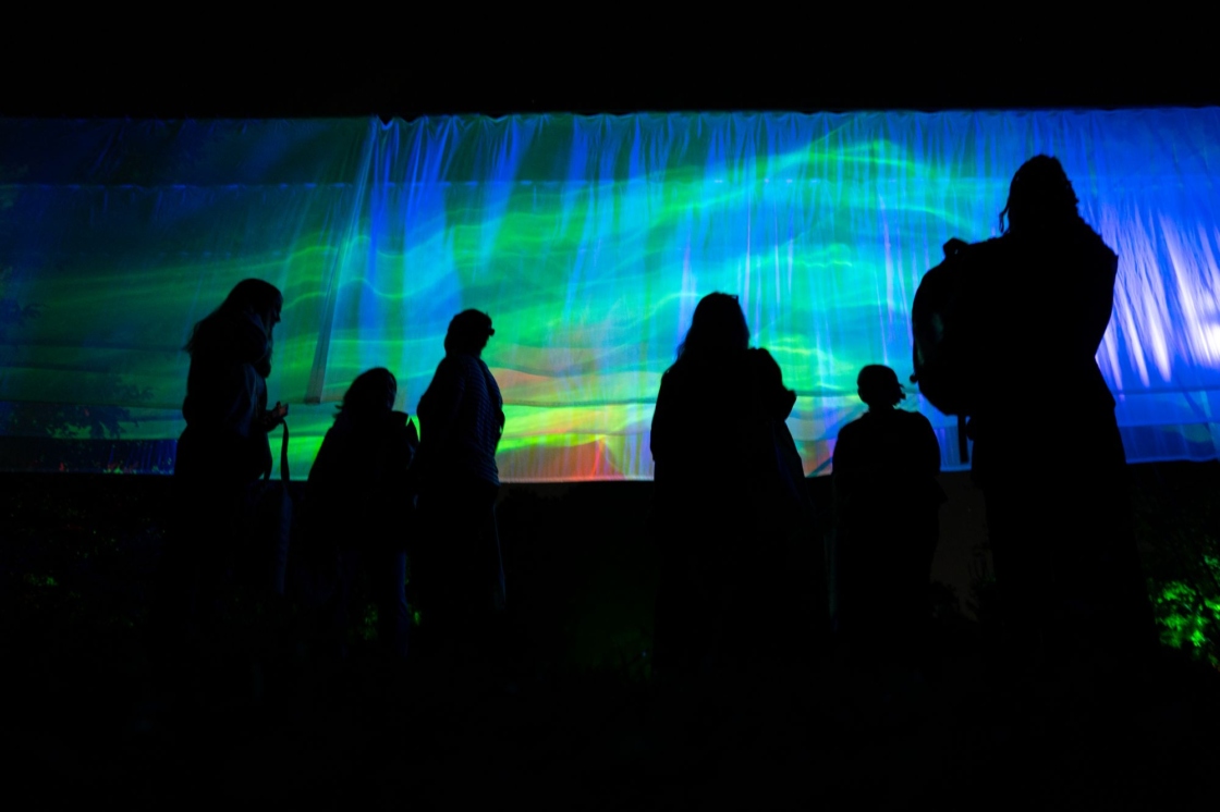 The Morton Arboretum