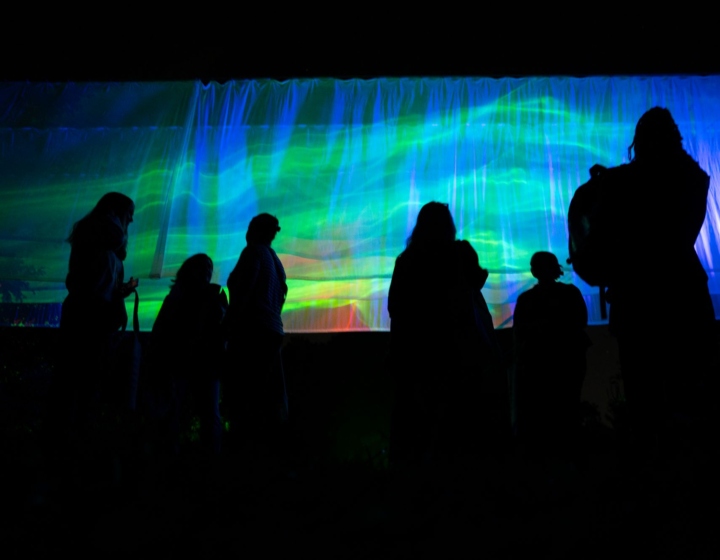 The Morton Arboretum