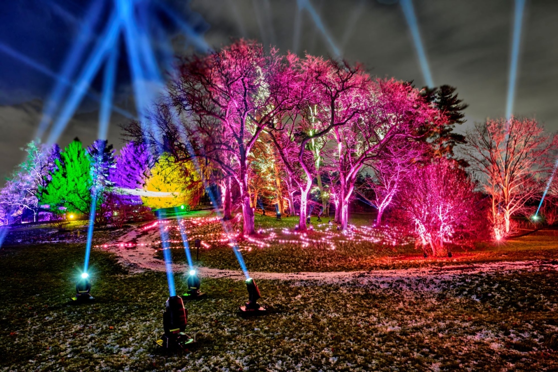 The Morton Arboretum