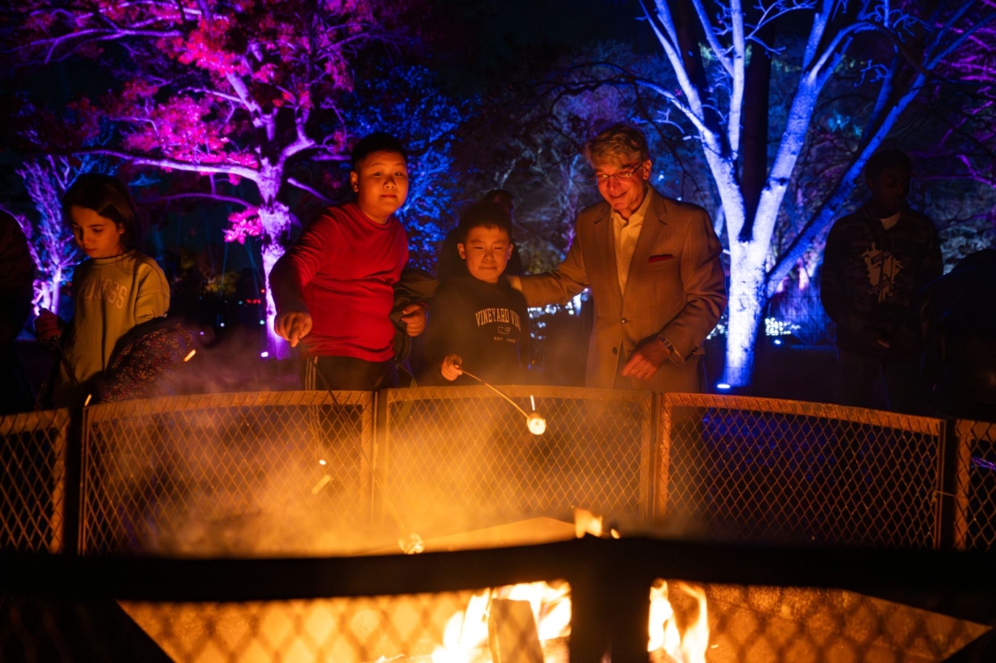 The Morton Arboretum